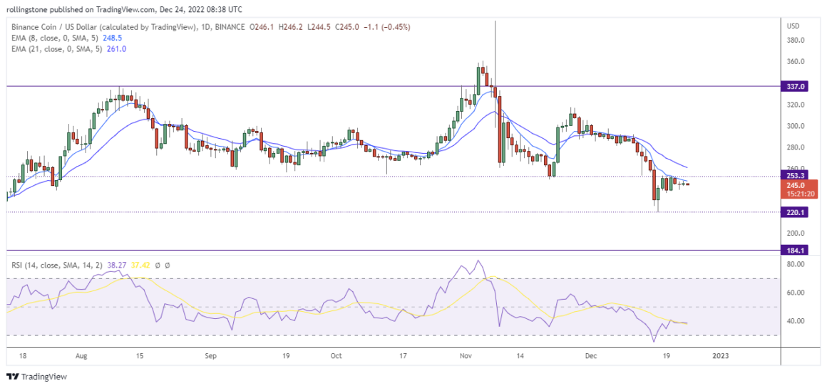 BNB Technical Analysis showing signs of a potential downtrend on TradingView.