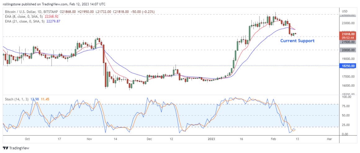 Bitcoin Technical Analysis on TradingView showing support and resistance indicators.
