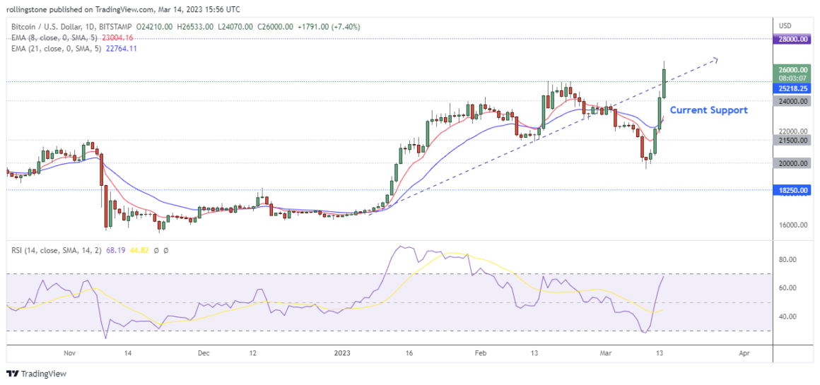 Bitcoin Technical Analysis on TradingView showing support and resistance indicators.
