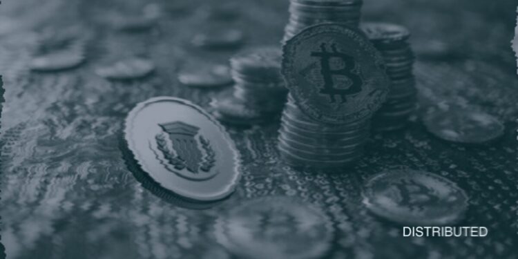 USDKG To Go Live